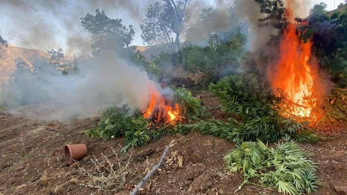 Bingöl’de uyuşturucu operasyonu -3