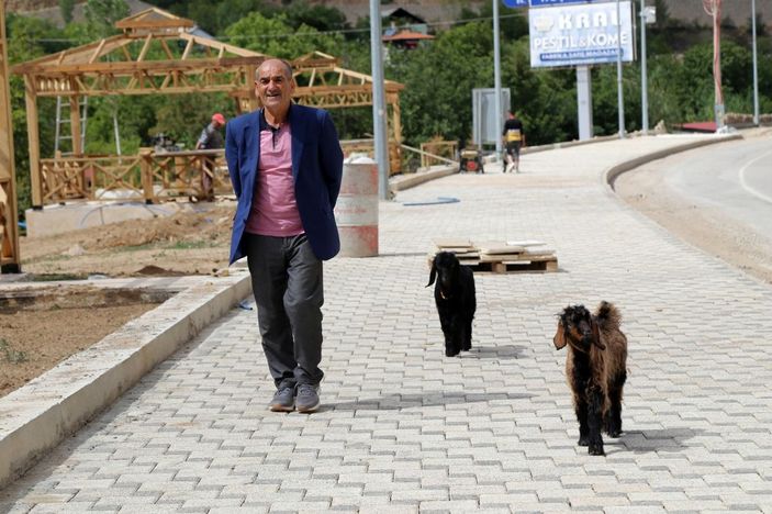 Her yere yavru keçileri ile gidiyor -1