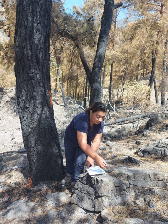 Muğla'da yanan 'özel bölgeler' için ekolojik kurtarma operasyonu -8