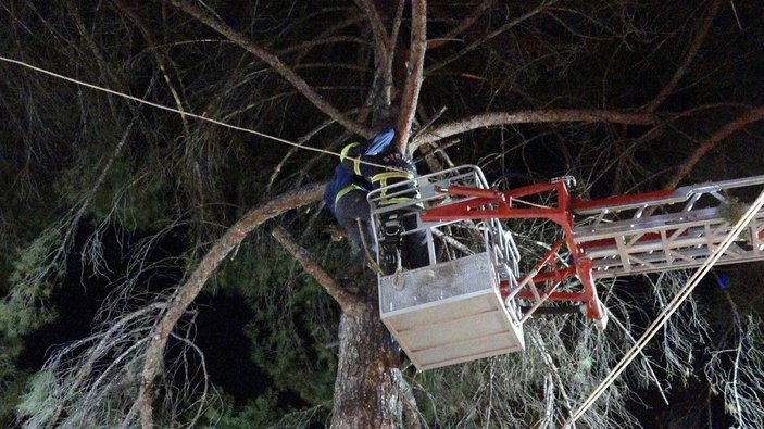 Burdur'da ağacın üzerine inen yamaç paraşütçüsü kurtarıldı