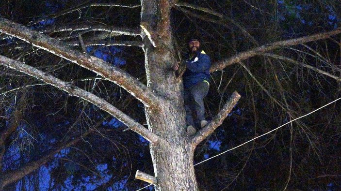 Burdur'da ağacın üzerine inen yamaç paraşütçüsü kurtarıldı