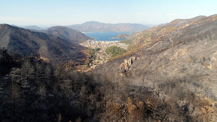 Muğla Orman Bölge Müdürü: 15 günlük yangınlarda 52 bin hektar alan zarar gördü -5