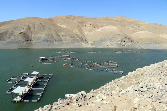 d Van'da baraj gölündeki balıklar şoka girip ölmüş -2