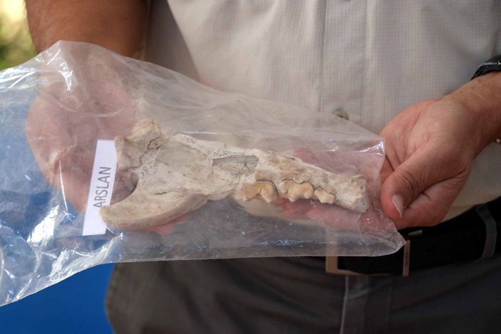 Kayseri'de 4 bin yıllık aslan kemiği bulundu