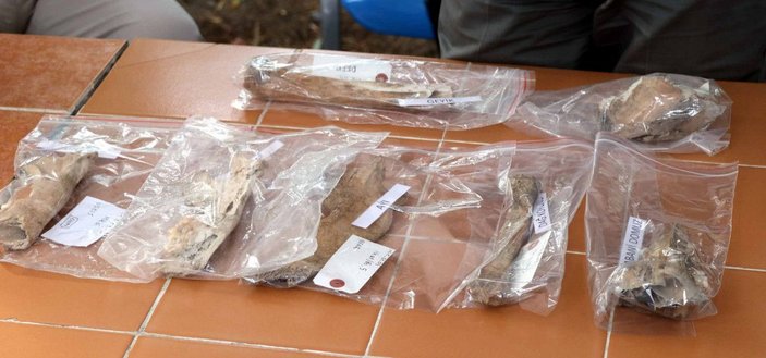 Kayseri'de 4 bin yıllık aslan kemiği bulundu