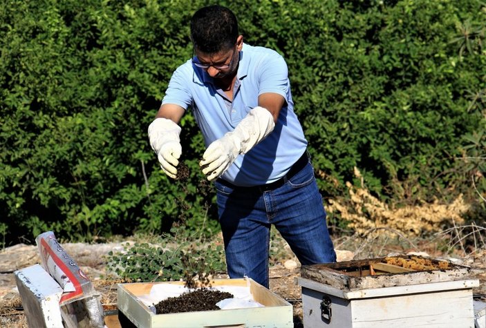 1 milyondan fazla arısı zehirlendi, ”Hepsini çalsalar canım bu kadar yanmazdı” -1