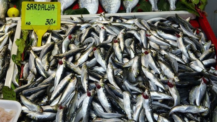 Çanakkale'de balık tezgahlarında bolluk yaşanıyor -10