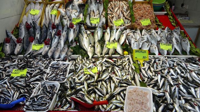 Çanakkale'de balık tezgahlarında bolluk yaşanıyor -7