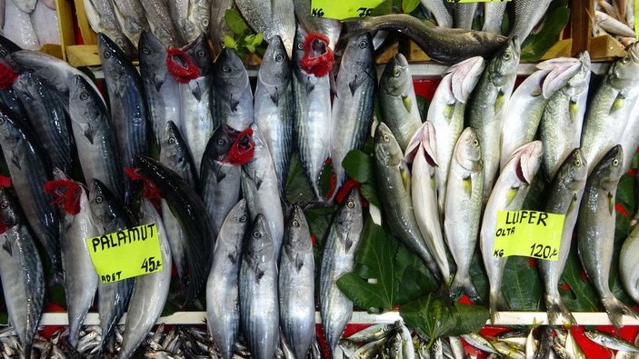 Çanakkale'de balık tezgahlarında bolluk yaşanıyor -5