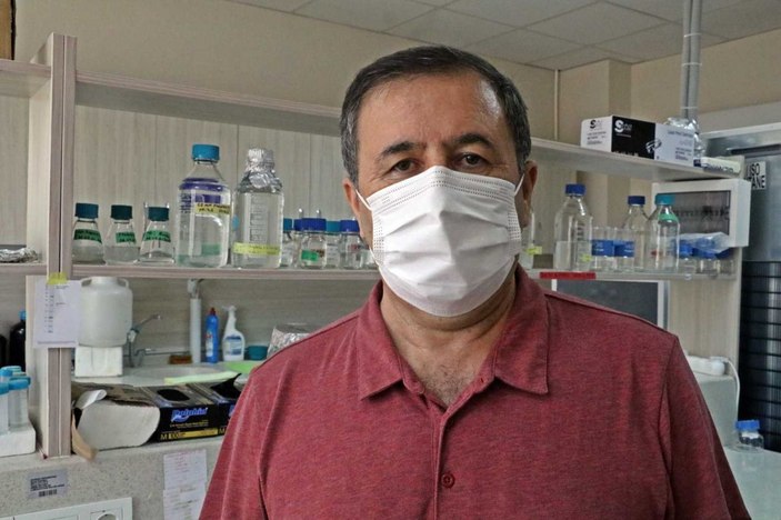 Koronavirüse karşı bitkiden üretilen kokteyl aşı, insan deneyine hazır
