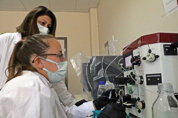 Koronavirüse karşı bitkiden üretilen kokteyl aşı, insan deneyine hazır
