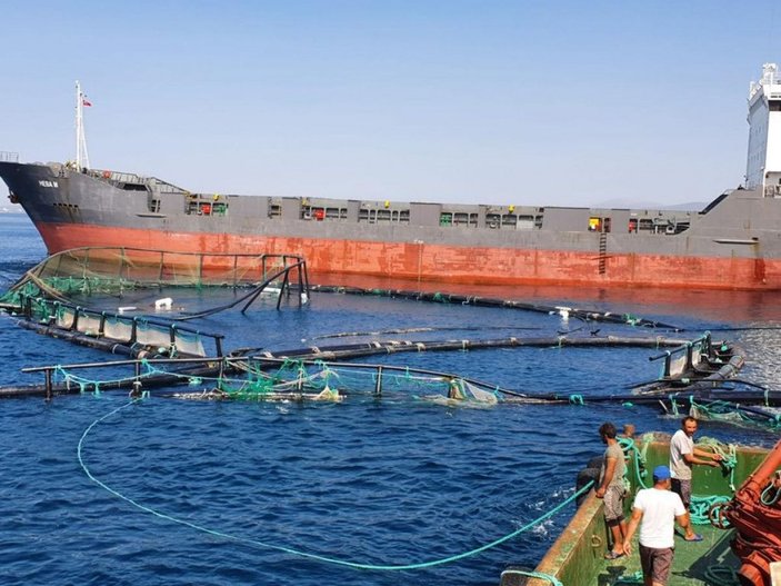 Kuru yük gemisi balık çiftliği havuzlarına çarptı; 20 milyon lira zarar oluştu -5