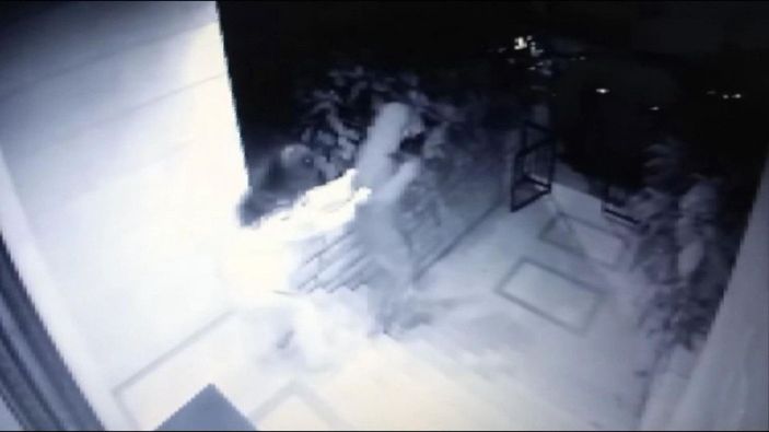 d Hırsızlar kendilerini durdurmak isteyen genç kıza silah doğrulttu; o anlar kamerada -2