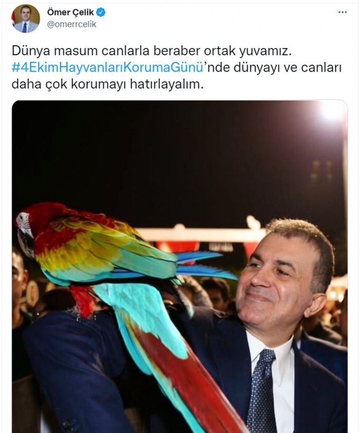 Cumhurbaşkanı Yardımcısı Oktay'dan 'Hayvanları Koruma Günü' mesajı -5