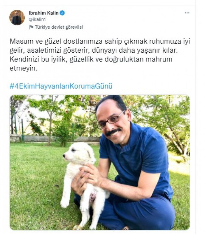 Cumhurbaşkanı Yardımcısı Oktay'dan 'Hayvanları Koruma Günü' mesajı -3