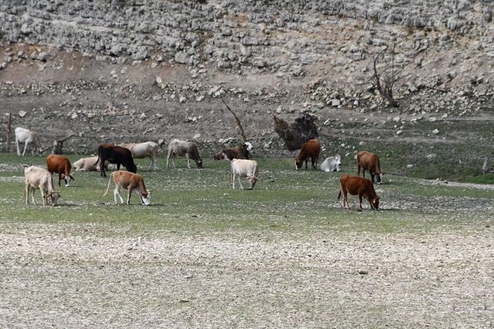 Trakya'da, İstanbul'un suyunu karşılayan barajlar kurudu -9