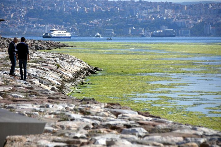 İzmir'de deniz yeşile büründü -1