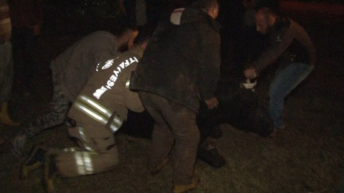 Arnavutköy'de kayıp inekler 4 gün sonra düştükleri kuyuda bulundu -5