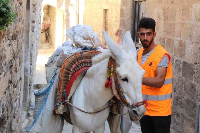Mardin'de eşekler, restorasyon çalışmalarında da mesaide