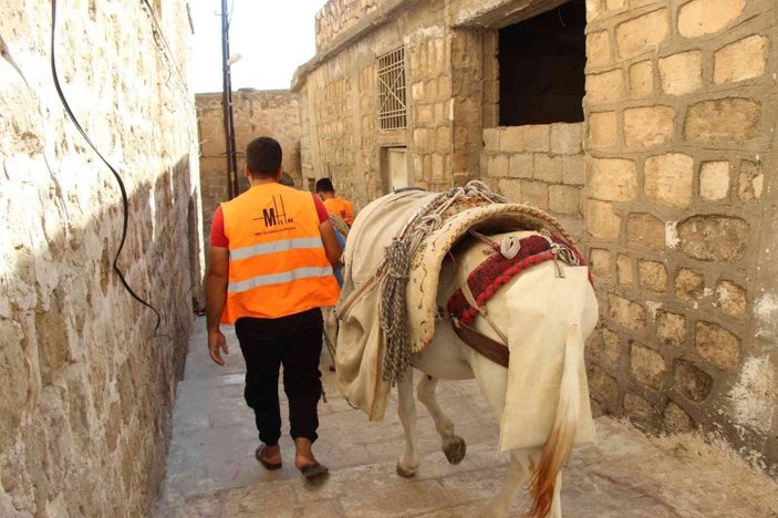 Mardin'de eşekler, restorasyon çalışmalarında da mesaide
