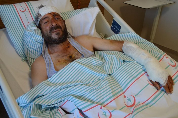 Tunceli'de ayı saldırısına uğrayan köylü, yaralı haliyle 5 kilometre yürüdü