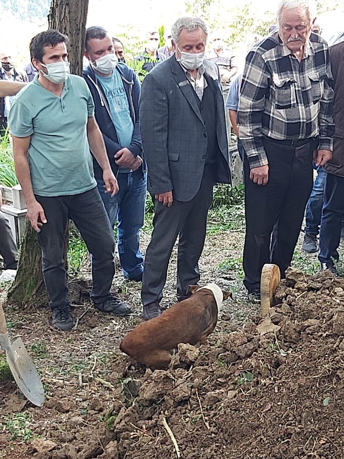 Ümit öldü, beslediği sokak köpeği 'Yoldaş' mezar başında bekledi -2
