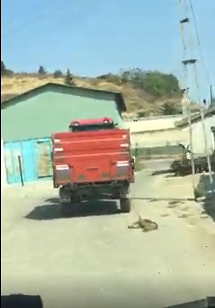 Traktörün römorkuna bağladığı köpeği metrelerce sürükledi -1
