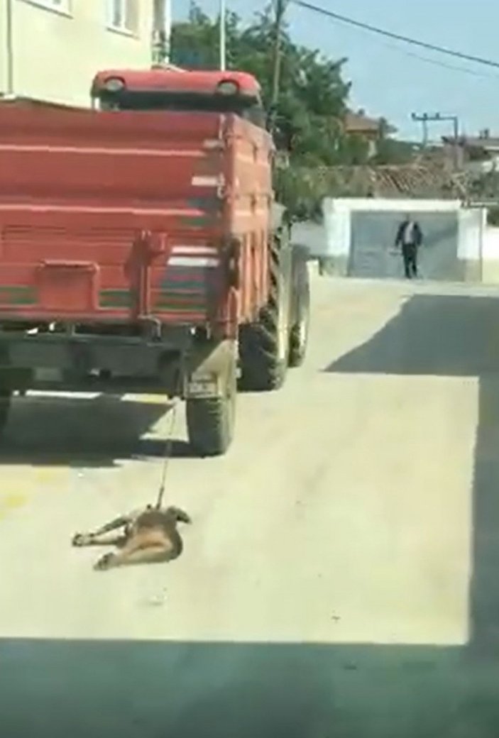 Traktörün römorkuna bağladığı köpeği metrelerce sürükledi -2
