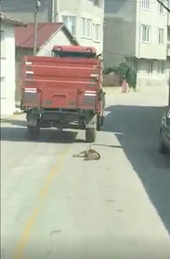Traktörün römorkuna bağladığı köpeği metrelerce sürükledi -3