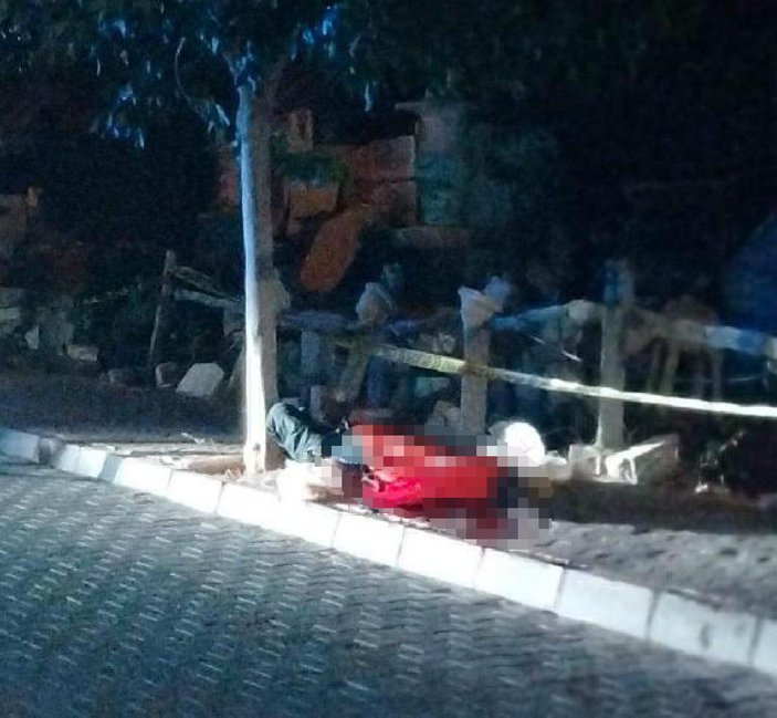 Aydın'da sokak ortasındaki cinayete 4 tutuklama