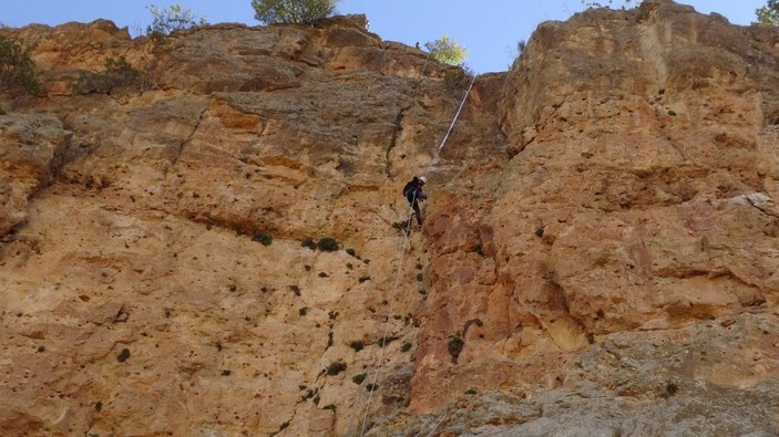 150 metre tırmanarak topladığı kaya balını Cumhurbaşkanı Erdoğan'a ulaştıracak -1