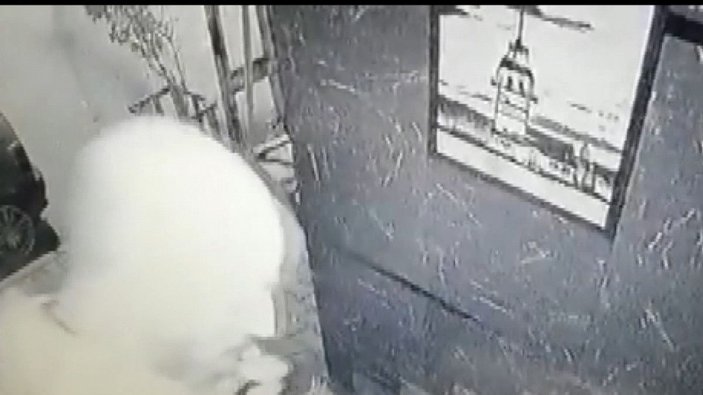 Bağcılar'da binaya giremeyen hırsız, güvenlik kamerasını çaldı