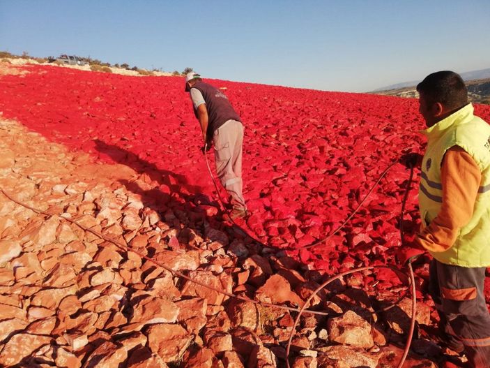 Zemine işlenmiş en büyük Türk bayrağı boyanıyor -2