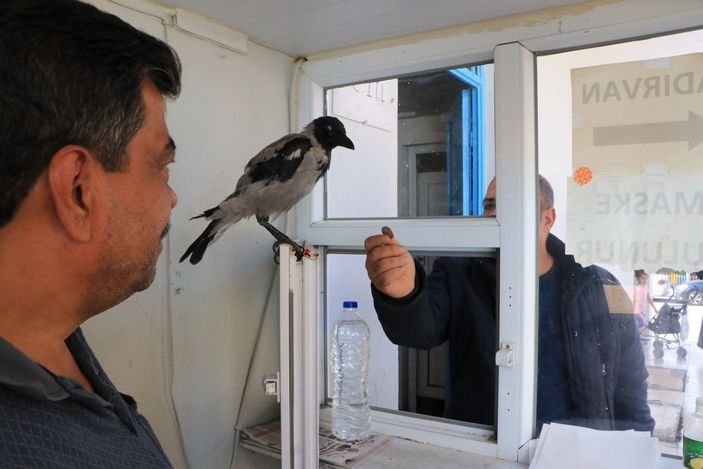 Tuvalet parasını karganın ağzına bırakıyorlar  -2