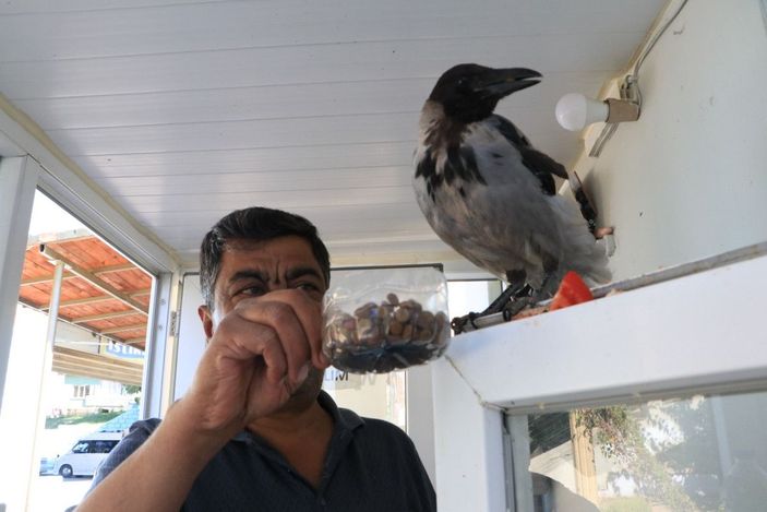 Tuvalet parasını karganın ağzına bırakıyorlar  -3