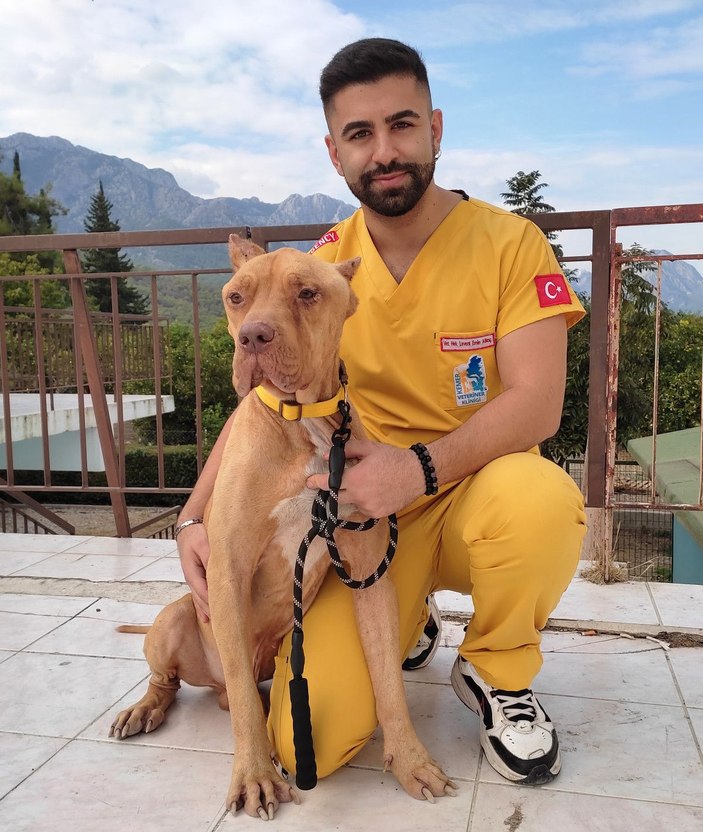'Jay Jay' adlı köpek, ölen diğer köpeğin başından ayrılmadı -9