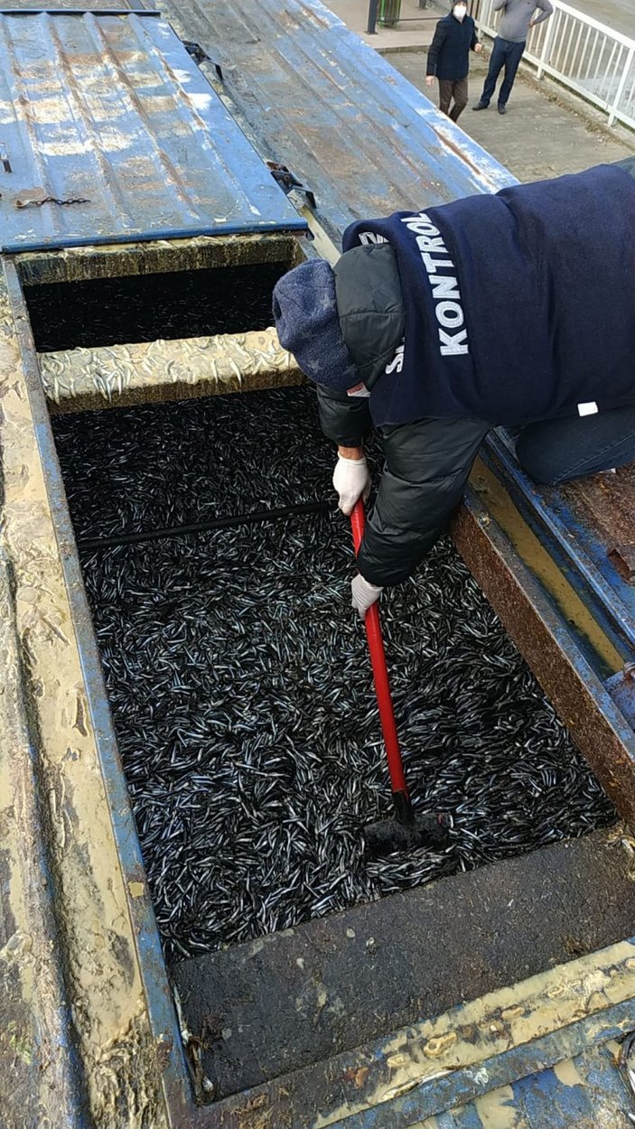 Rize'de yasal boy sınırı altındaki 8 ton 300 kilo balığa el konuldu -6