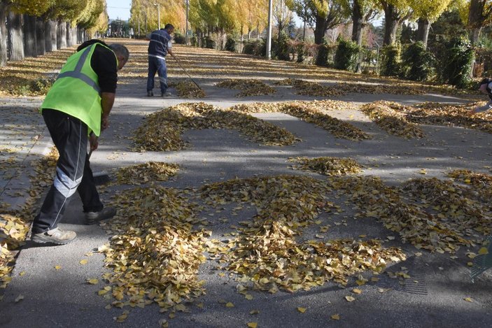 Temizlik işçileri ağaçlardan dökülen yapraklarla 'Atam İzindeyiz' yazdı -9