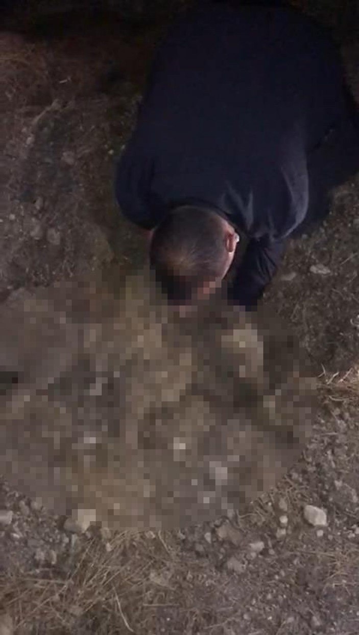 Hayvanseverler, besledikleri köpeklerden birini daha yaralı buldu -4