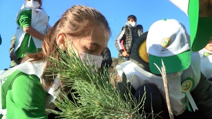 Heybeliada'ya 8 bin 900 fidan dikildi -7