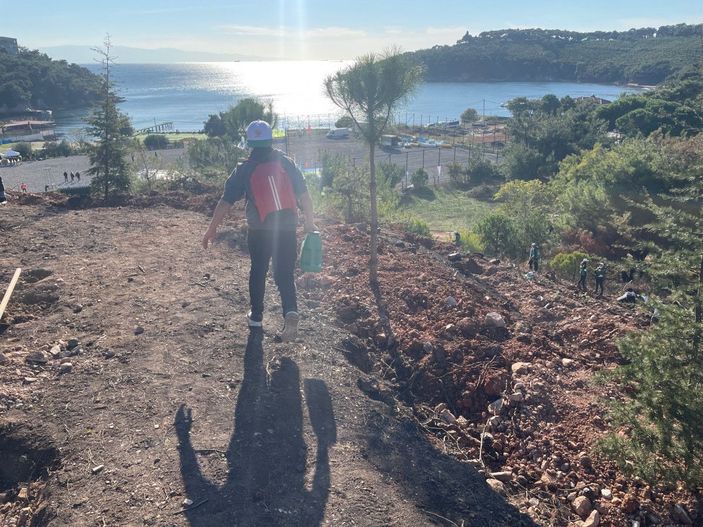 Heybeliada'ya 8 bin 900 fidan dikildi -4