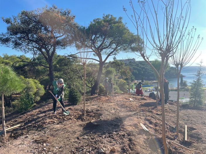 d Heybeliada'ya 8 bin 900 fidan dikildi -3
