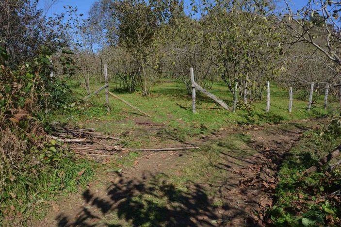 Otlatma tartışması kanlı bitti: 1 ölü -1