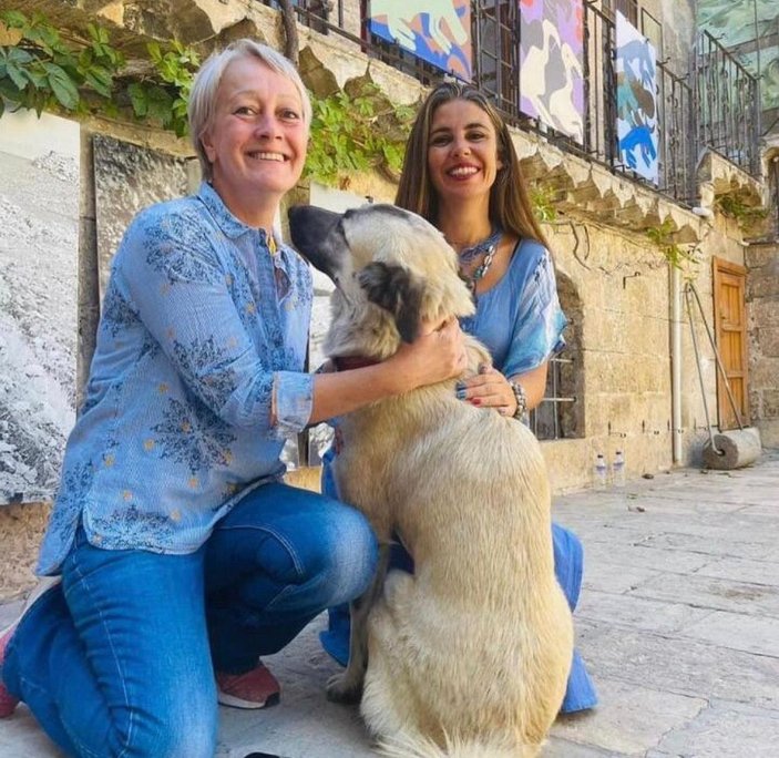 Komşular 'tasma' kavgası nedeniyle birbirinden şikayetçi oldu -9