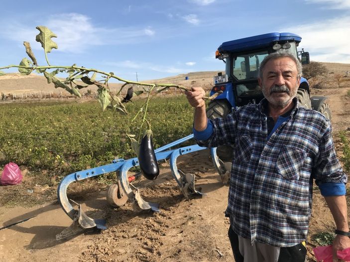Marketlerdeki fiyata kızdı, 20 dönümlük sebze tarlasını vatandaşlara ücretsiz açtı -5