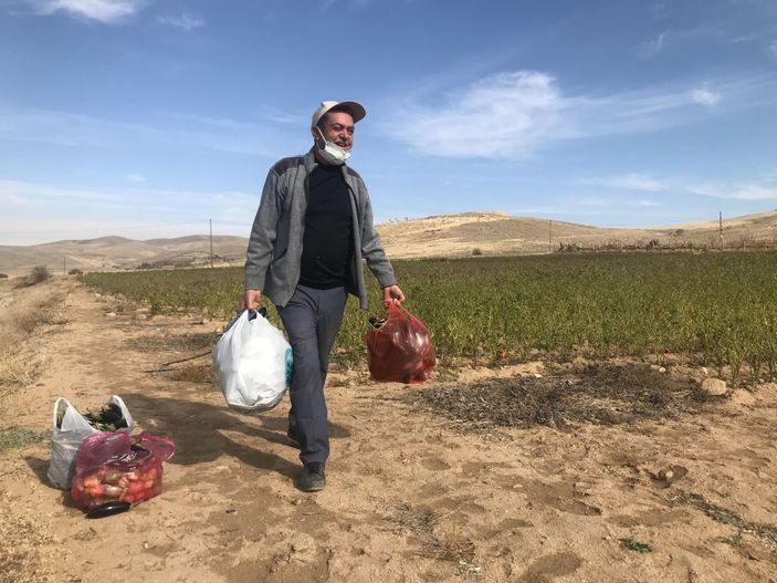 Marketlerdeki fiyata kızdı, 20 dönümlük sebze tarlasını vatandaşlara ücretsiz açtı -1