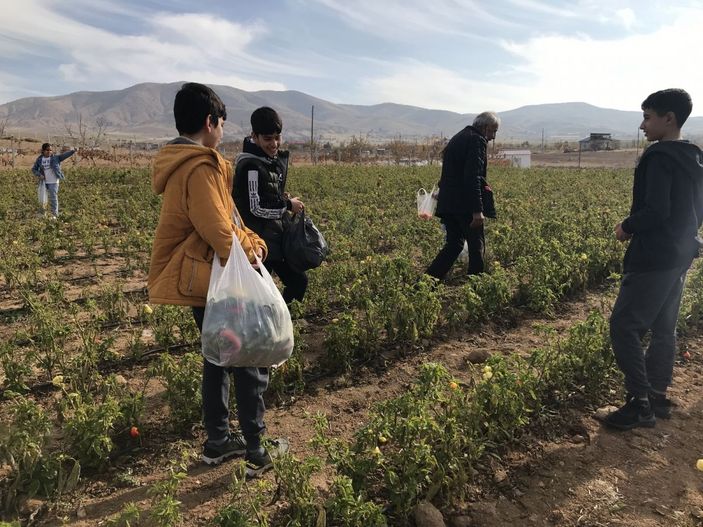 Marketlerdeki fiyata kızdı, 20 dönümlük sebze tarlasını vatandaşlara ücretsiz açtı -10
