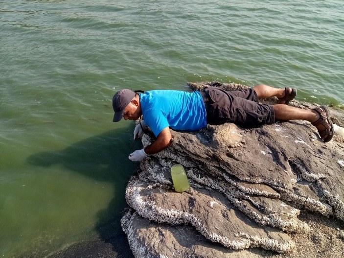 Bafa Gölü’nde sular çekildi, istilacılar ortaya çıktı -2