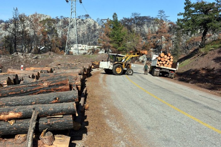 Marmaris'te, 3 ayda yangında zarar gören 1500 hektar alandaki ağaçlar kesildi -2