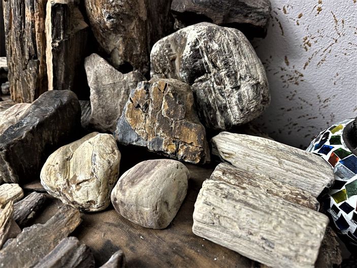 Mardinli kapıcının fosil aşkı -7